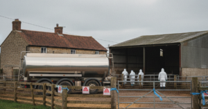 What happens when you report a notifiable disease in your animals