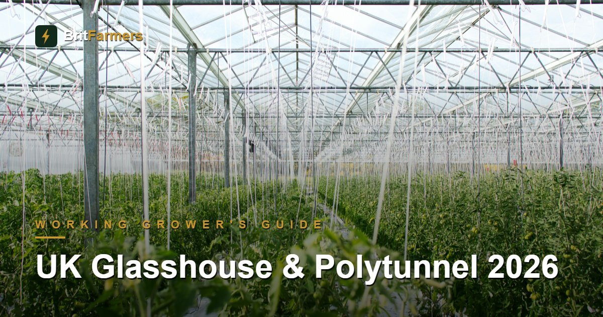 UK Glasshouse and Polytunnel Production 2026: A Working Grower's Guide — BritFarmers
