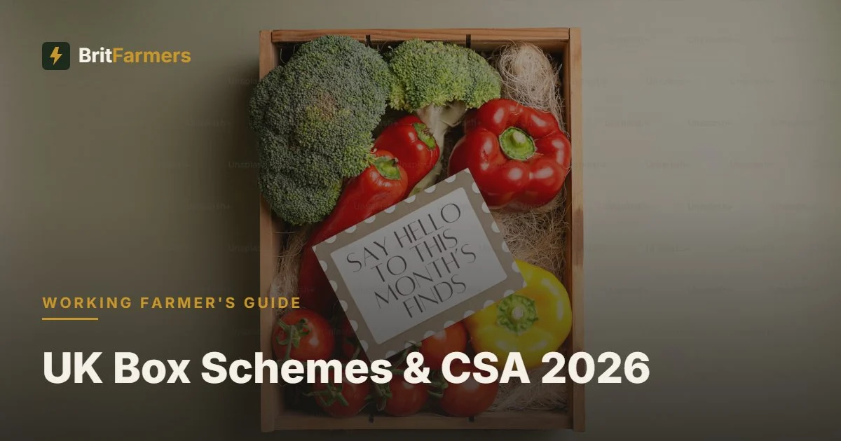 UK Box Schemes & CSA 2026