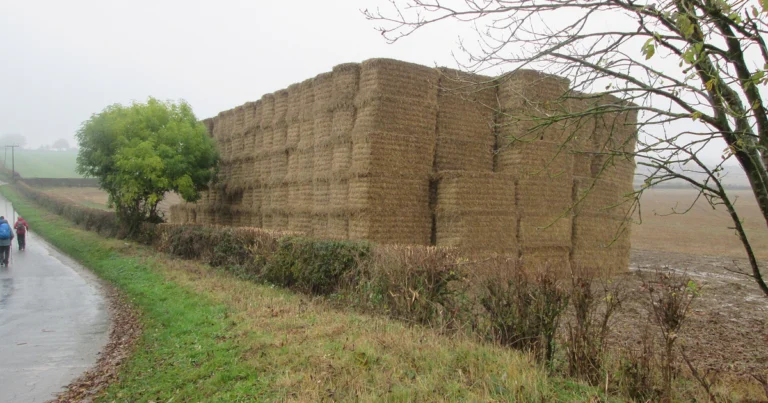 A large stack of big square straw bales at the edge of an English arable field on a misty autumn day