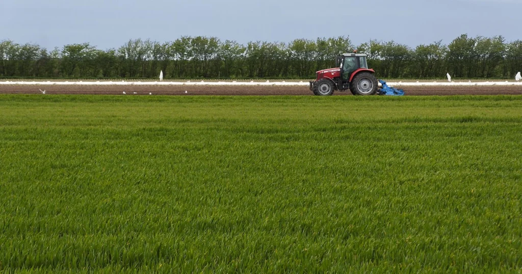 Tractor working a field on a UK farm