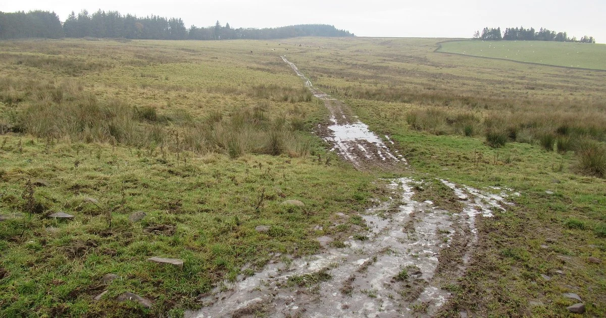 Branch track on Allanshaws Farm near Lauder in the Scottish Borders