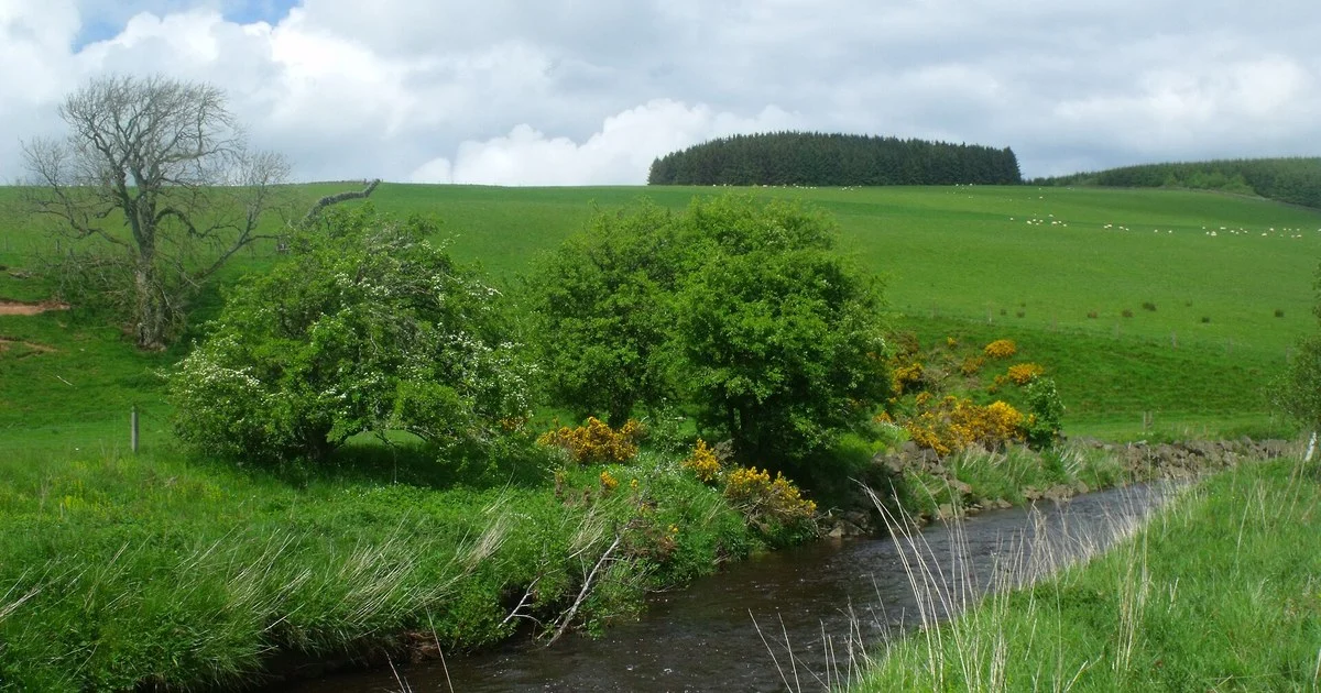 Falside farmland over Jed Water in the Scottish Borders