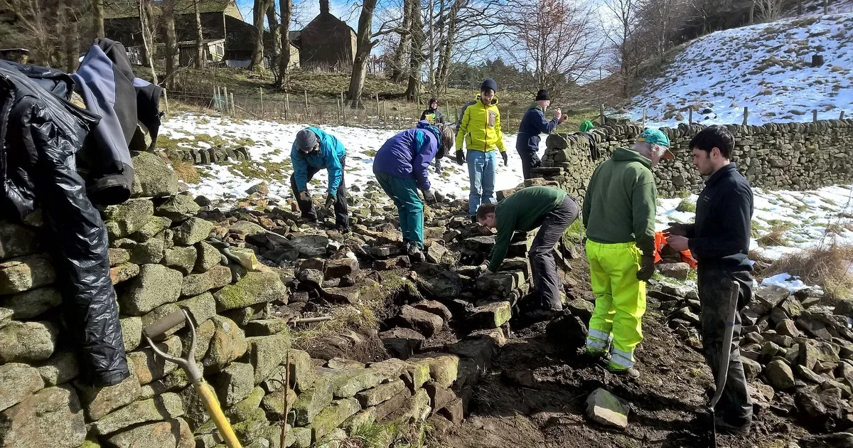 Volunteers rebuilding a collapsed dry stone wall on a UK hillside