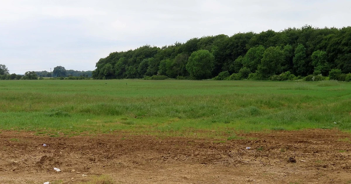 Arable field at Diddly Squat Farm