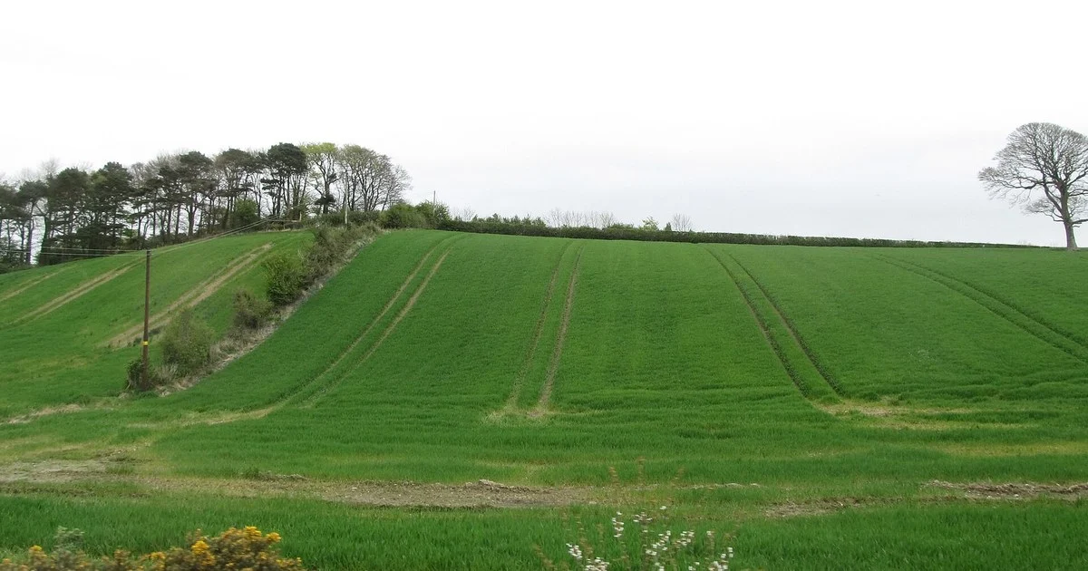 Drumlin slope farmland north of Killyleagh