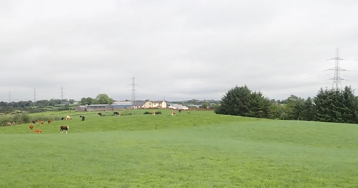 A dairy farm on the North side of Finnegans Road