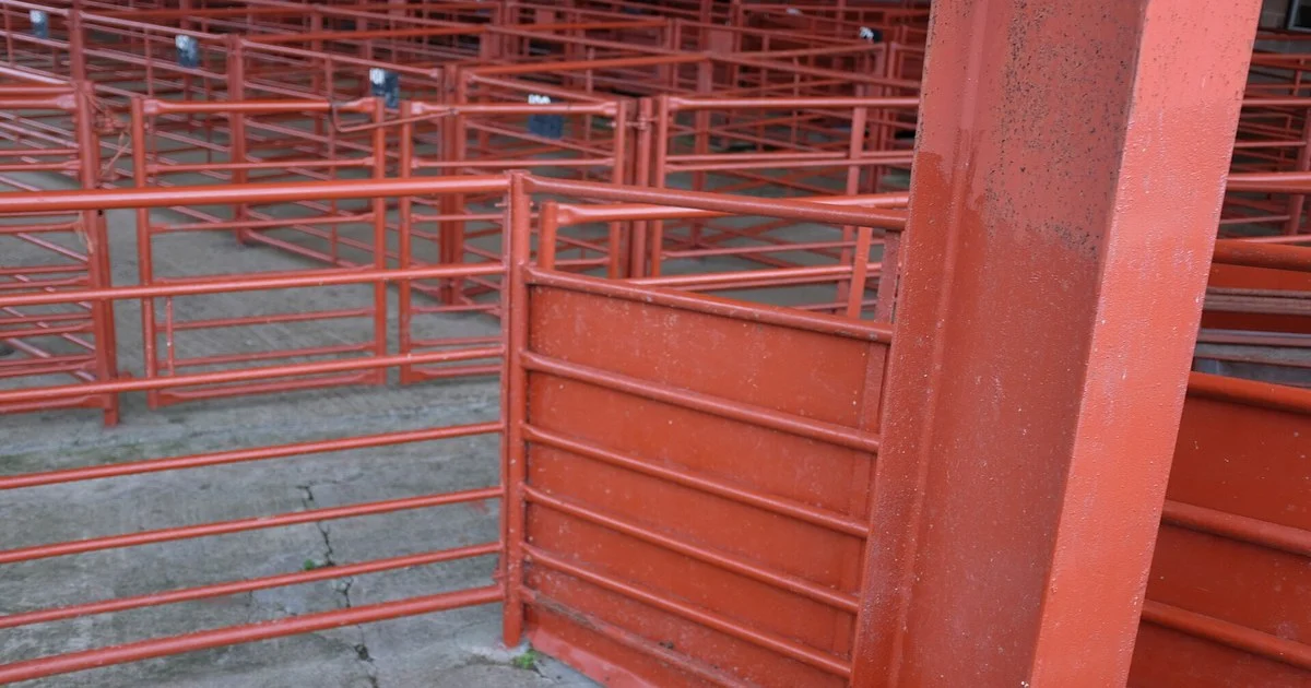 Cattle market, The Pens