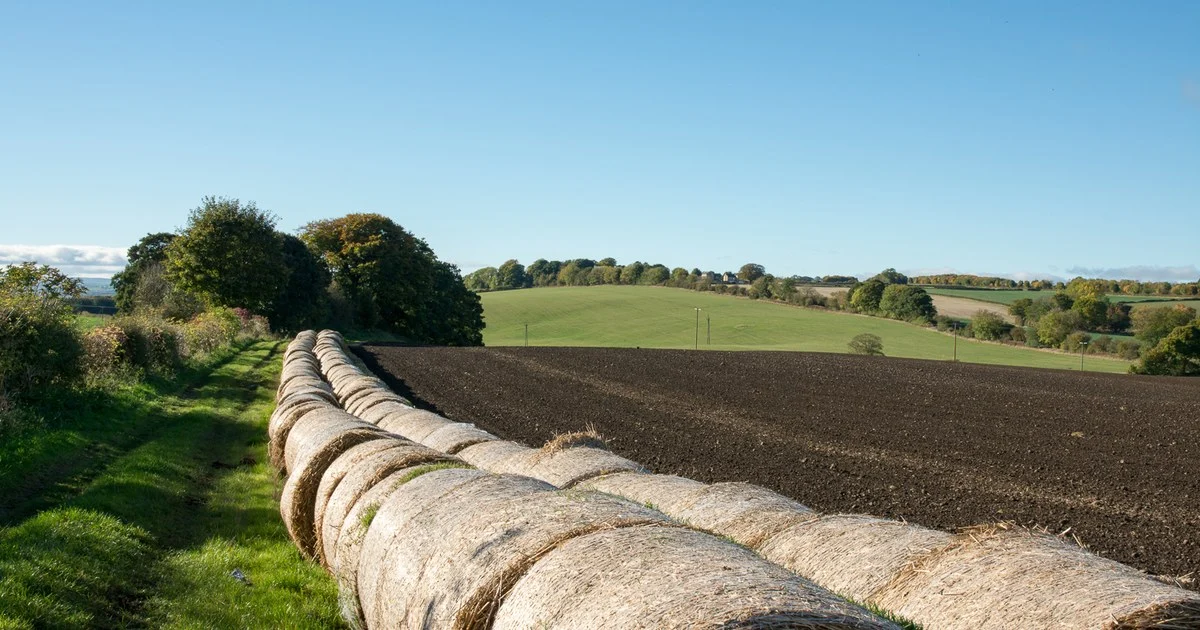 Wrapped round silage bales and small hay bales stacked beside a grass field