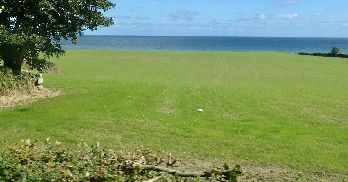 Coastal farmland on the northern side of Annalong