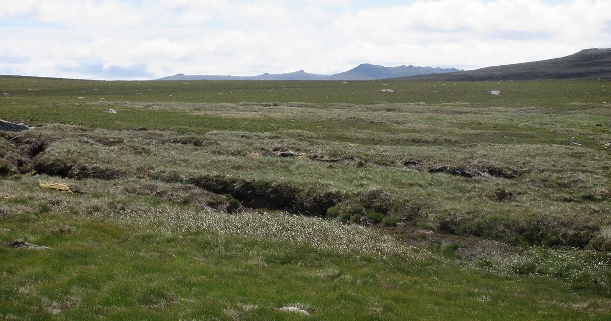 Cairngorm moorland