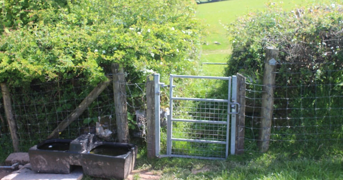 Gate in fence-hedge, Gilfach Farm