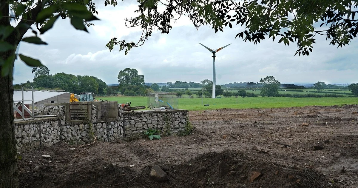 A wind turbine on farmland