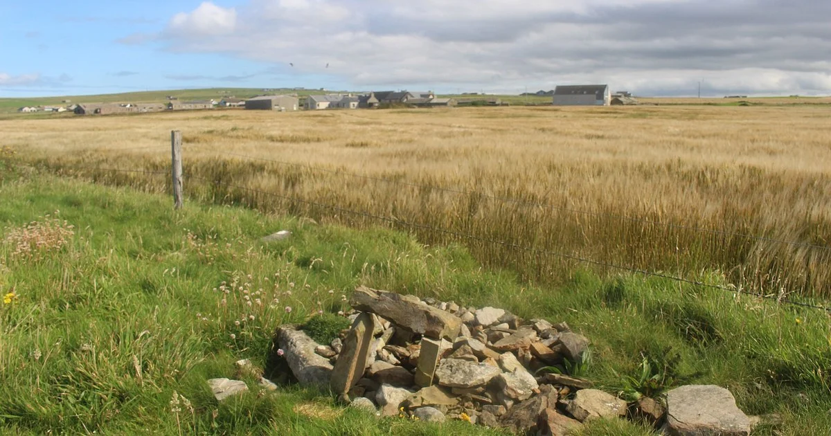 Coastal Crops, Banks Farm