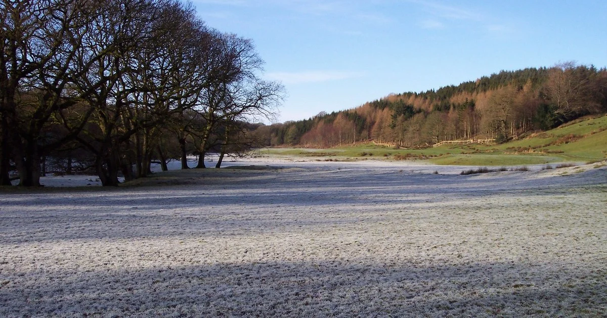 Frost coated field on the Wyre Way