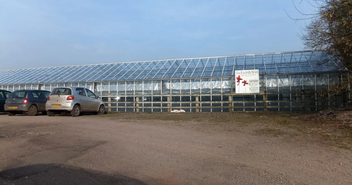 Glasshouses at Mill House Nursery